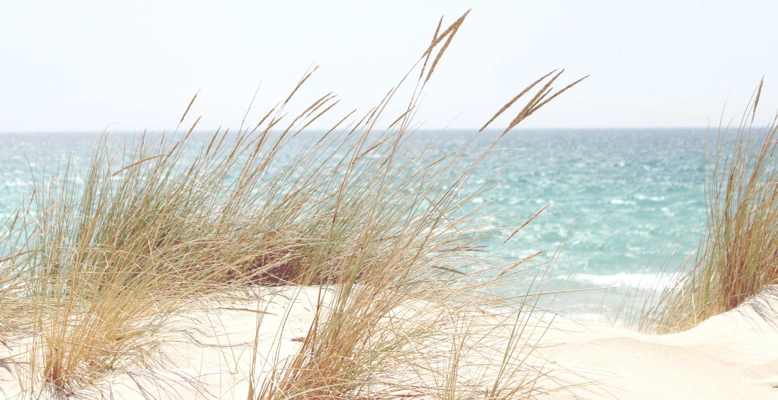 Antiaging Clinic - Español 16 fotter