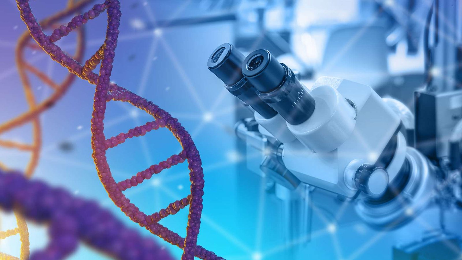 TEST METILACIÓN antiaging panama